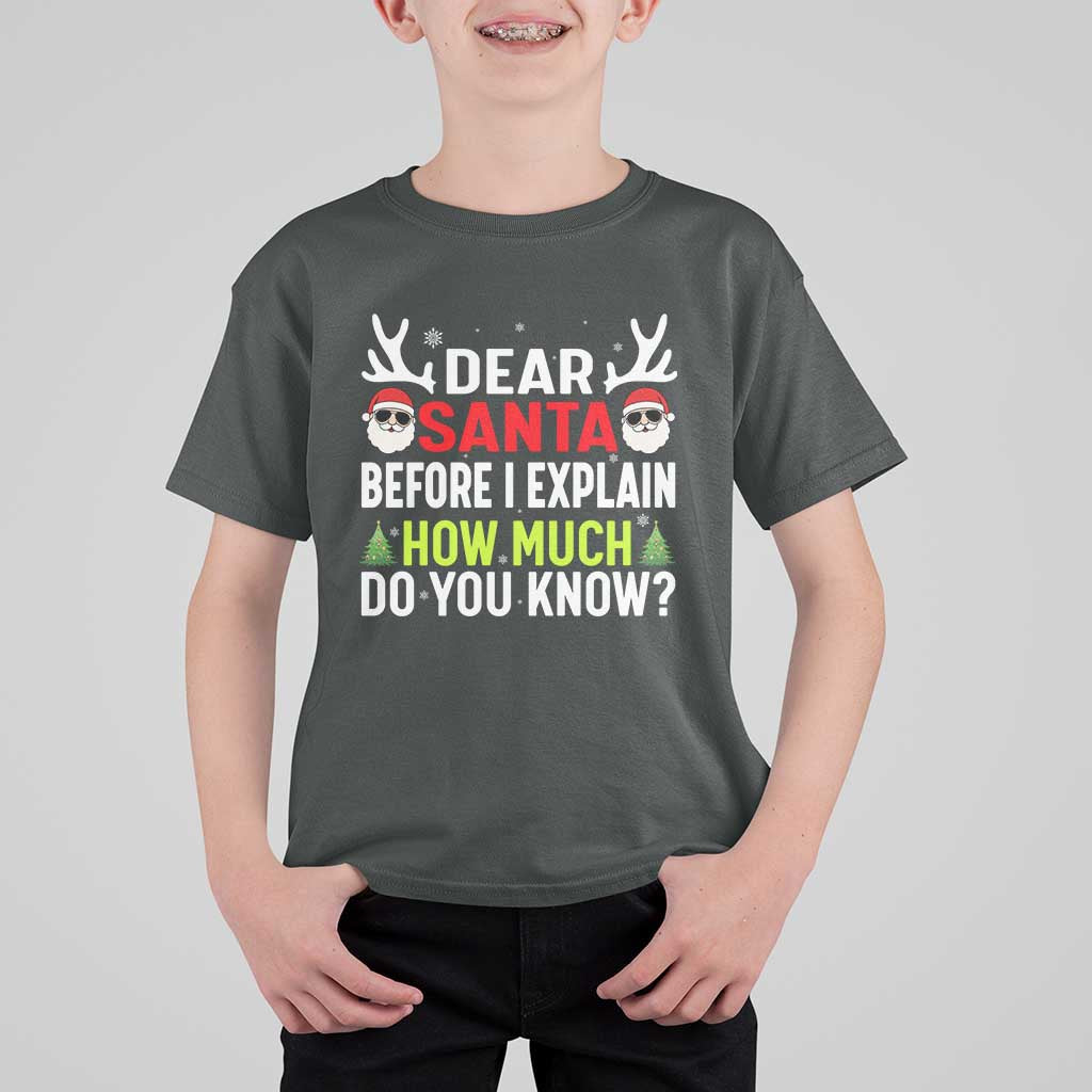 Funny Christmas T Shirt For Kid Dear Santa I Can Explain How Much Do You Know - Wonder Print Shop
