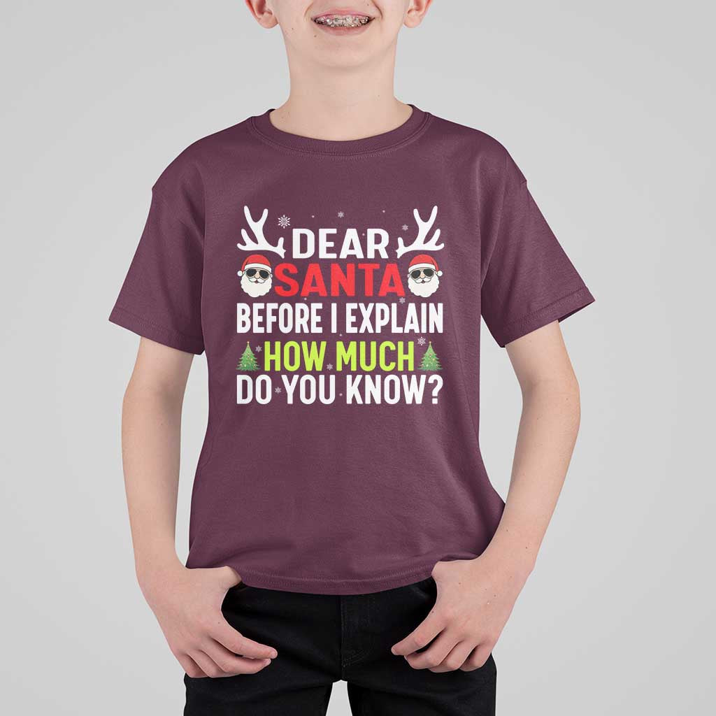 Funny Christmas T Shirt For Kid Dear Santa I Can Explain How Much Do You Know - Wonder Print Shop