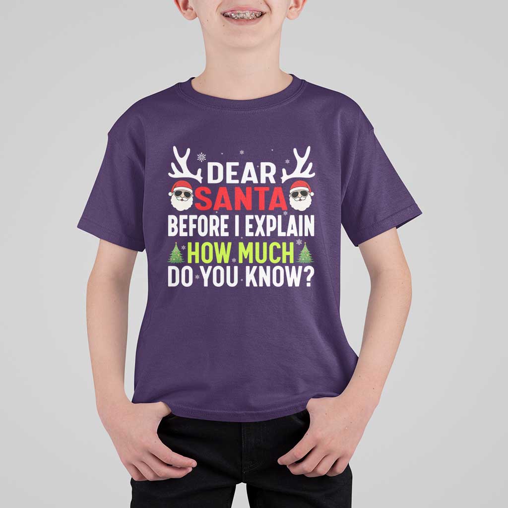 Funny Christmas T Shirt For Kid Dear Santa I Can Explain How Much Do You Know - Wonder Print Shop