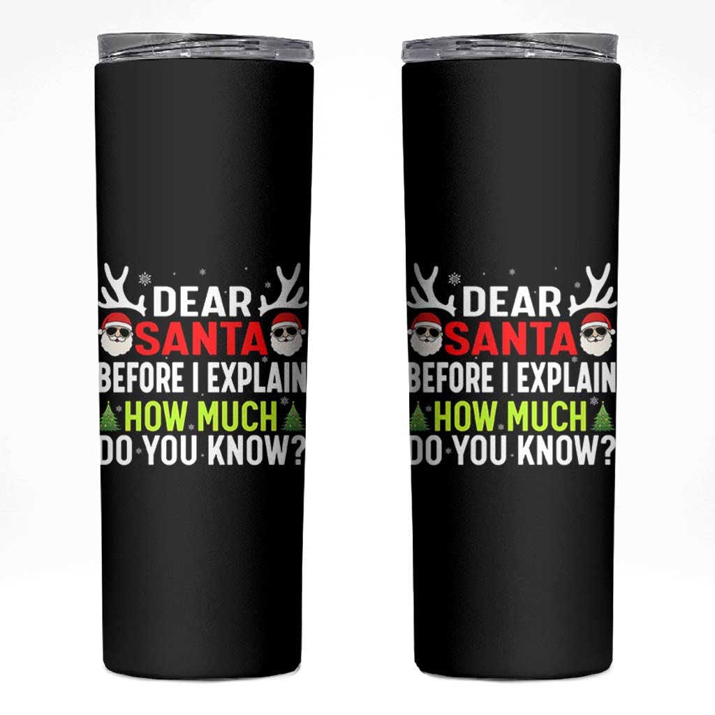Funny Christmas Skinny Tumbler Dear Santa I Can Explain How Much Do You Know - Wonder Print Shop