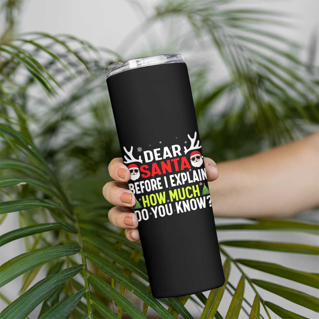 Funny Christmas Skinny Tumbler Dear Santa I Can Explain How Much Do You Know - Wonder Print Shop