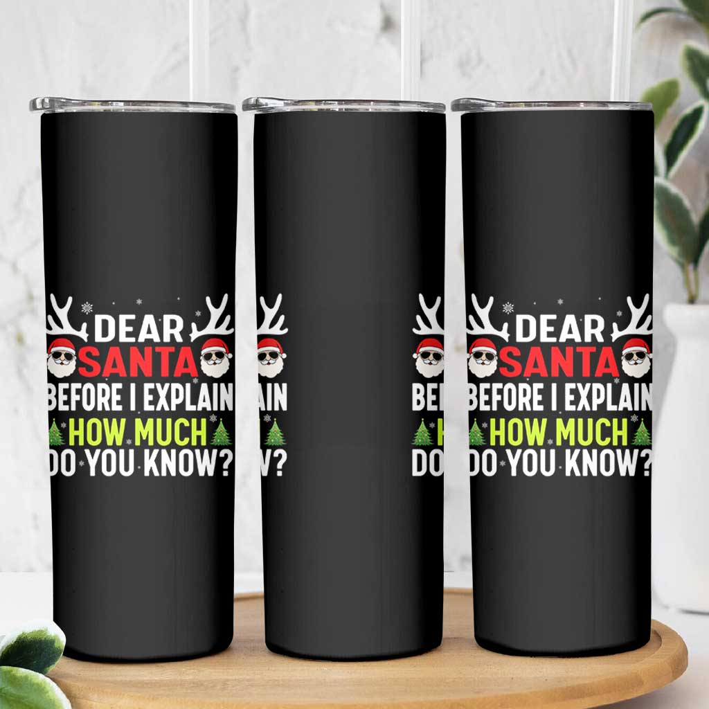 Funny Christmas Skinny Tumbler Dear Santa I Can Explain How Much Do You Know - Wonder Print Shop