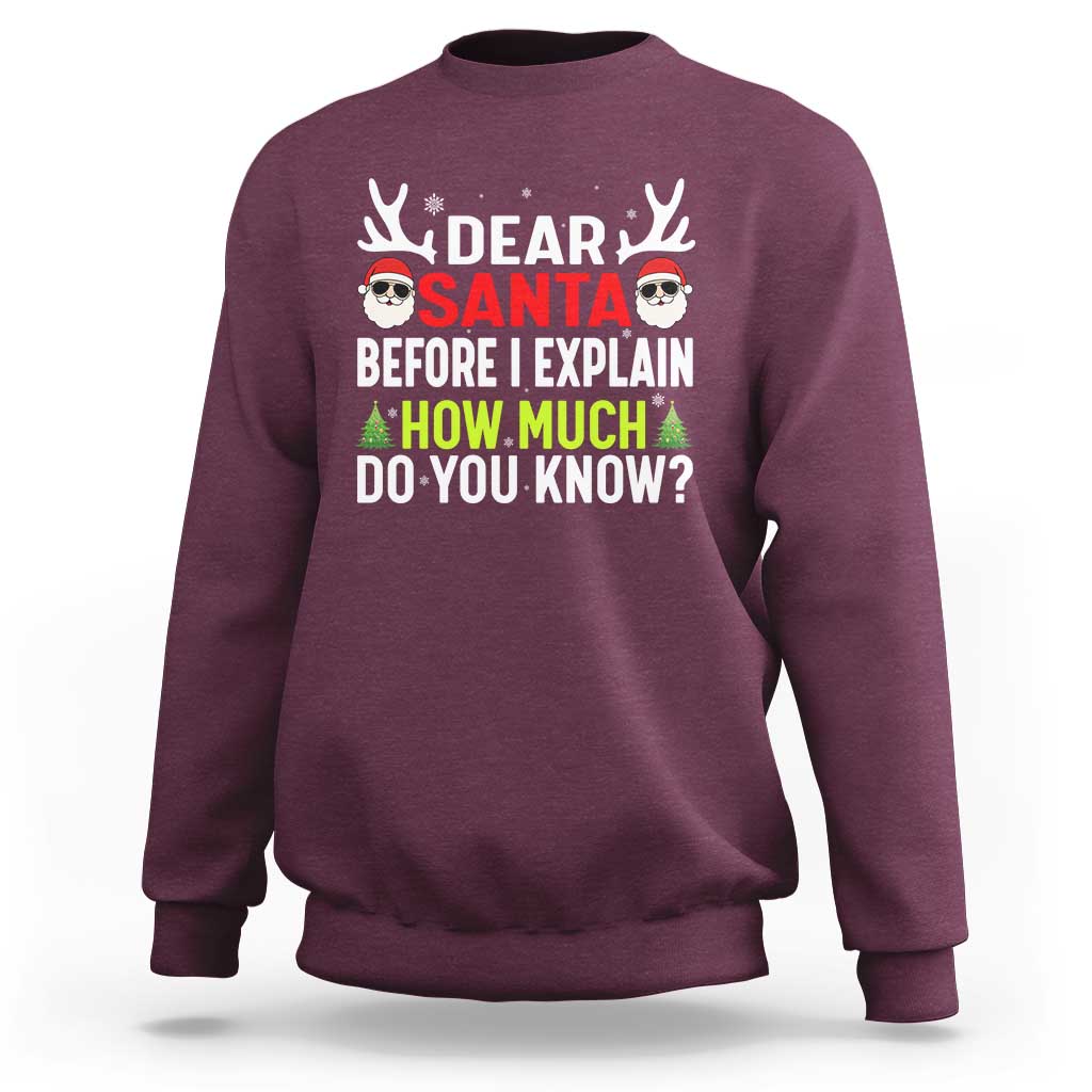 Funny Christmas Sweatshirt Dear Santa I Can Explain How Much Do You Know - Wonder Print Shop
