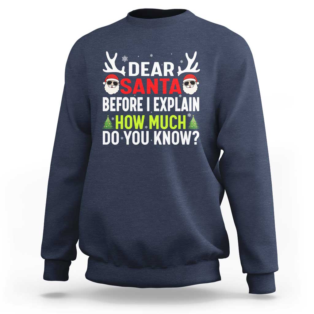 Funny Christmas Sweatshirt Dear Santa I Can Explain How Much Do You Know - Wonder Print Shop