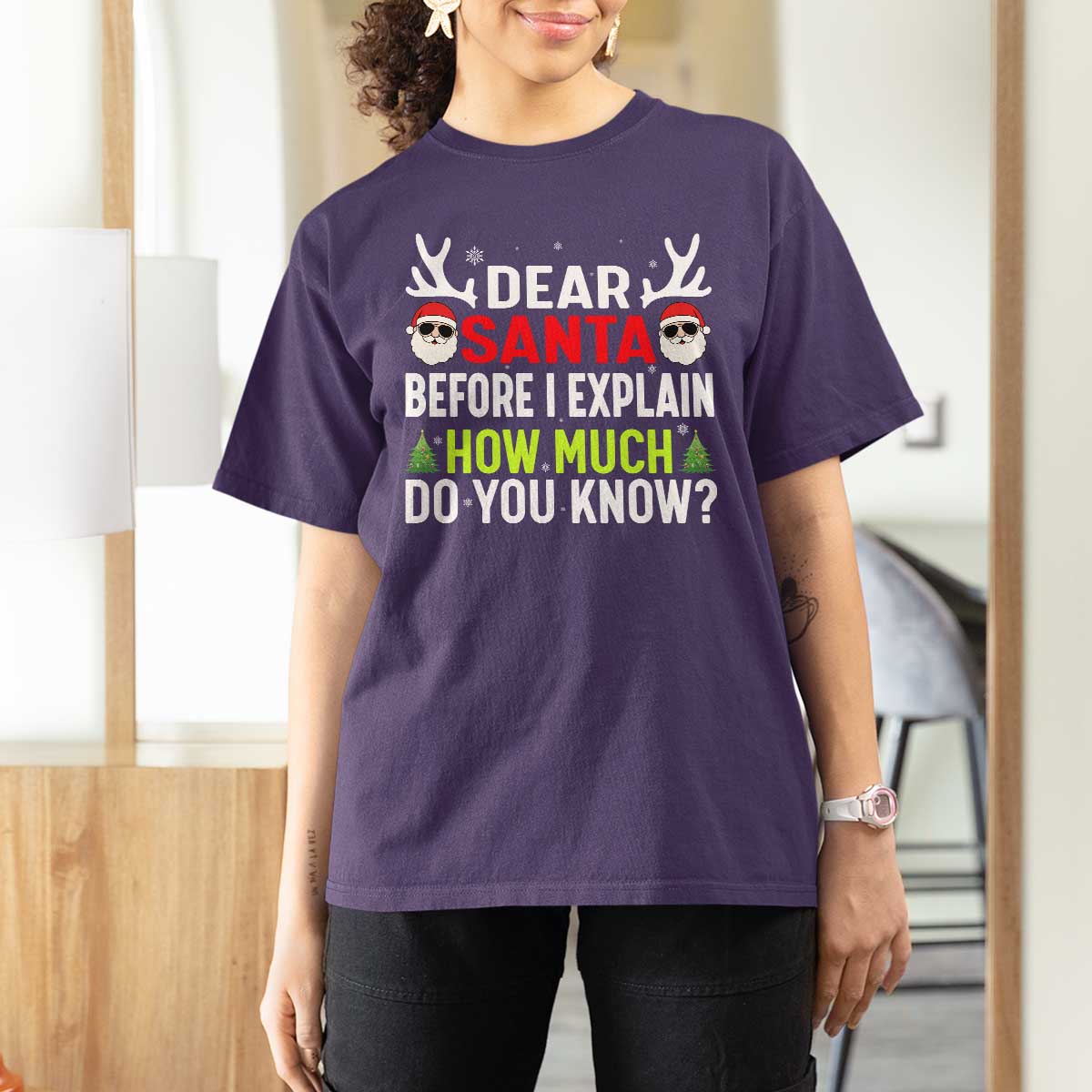 Funny Christmas T Shirt For Women Dear Santa I Can Explain How Much Do You Know - Wonder Print Shop
