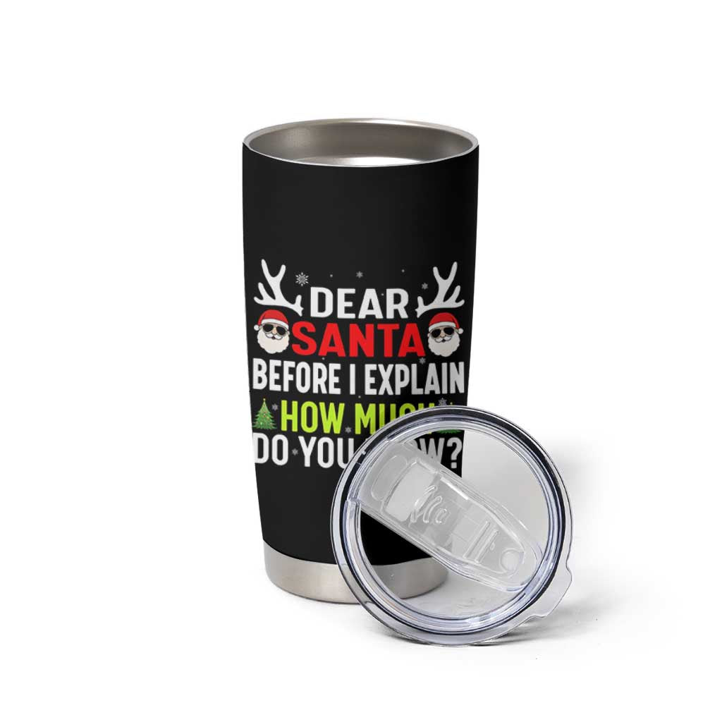 Funny Christmas Tumbler Cup Dear Santa I Can Explain How Much Do You Know - Wonder Print Shop