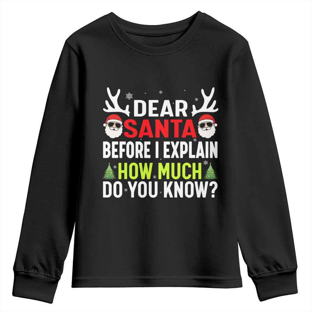 Funny Christmas Youth Sweatshirt Dear Santa I Can Explain How Much Do You Know - Wonder Print Shop