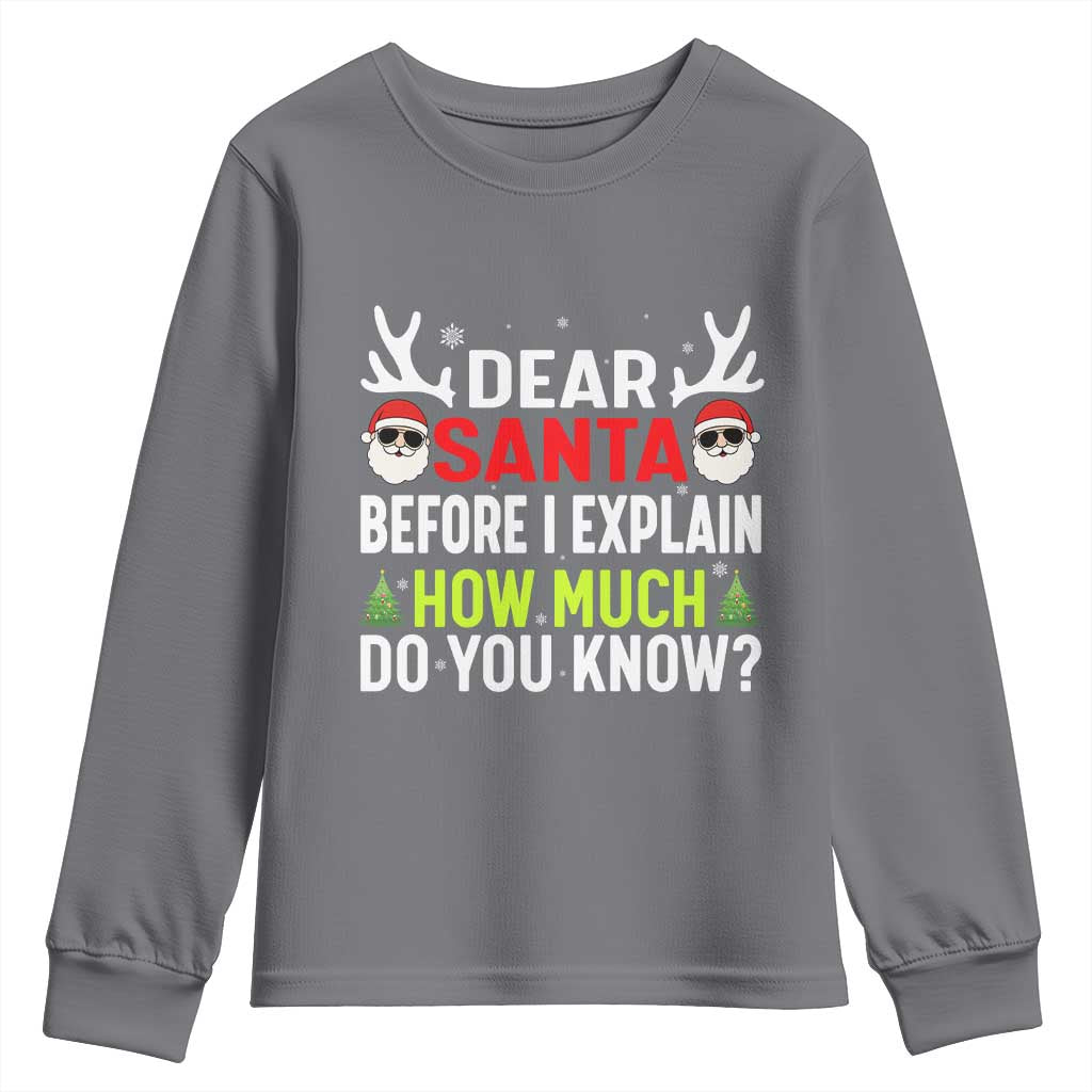 Funny Christmas Youth Sweatshirt Dear Santa I Can Explain How Much Do You Know - Wonder Print Shop