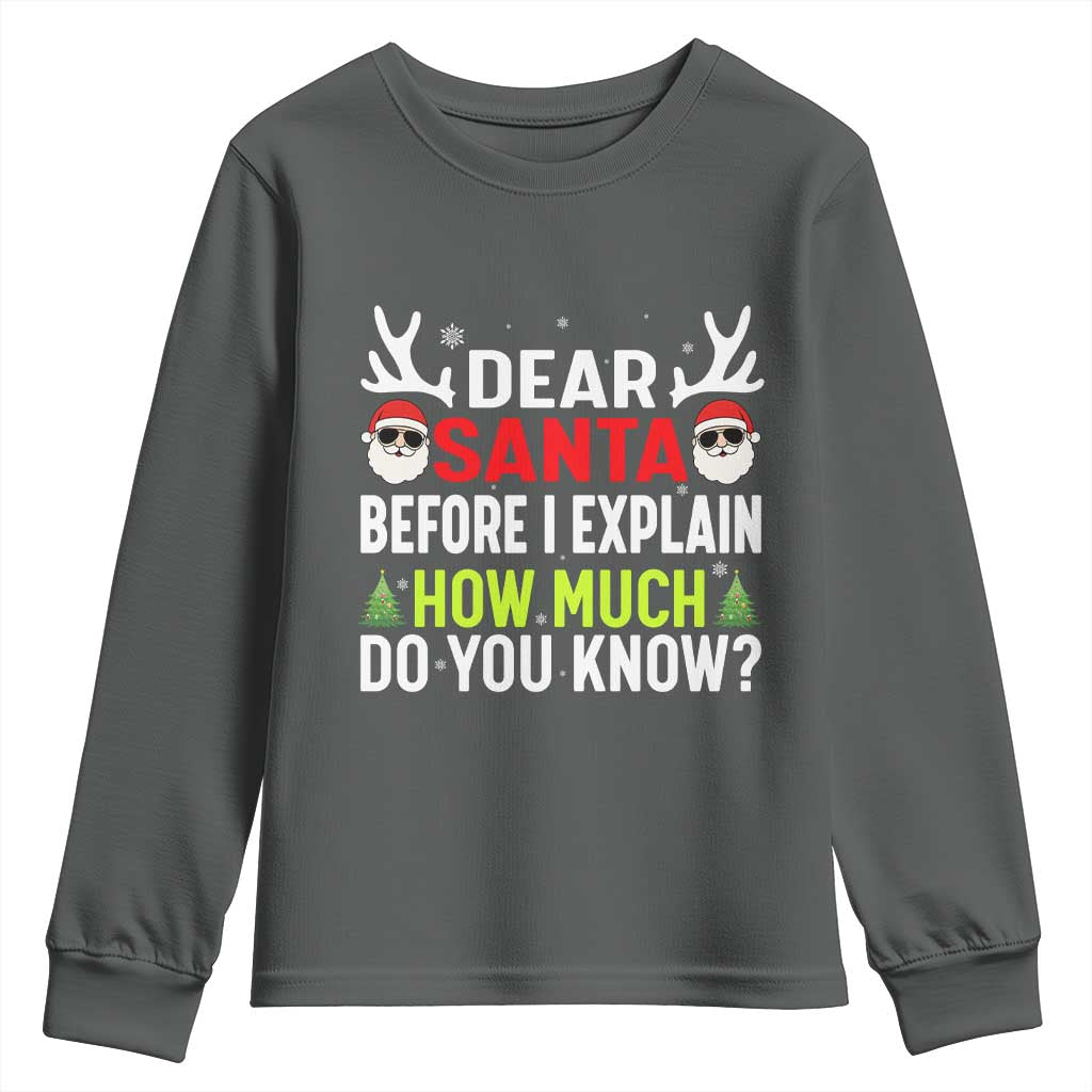 Funny Christmas Youth Sweatshirt Dear Santa I Can Explain How Much Do You Know - Wonder Print Shop