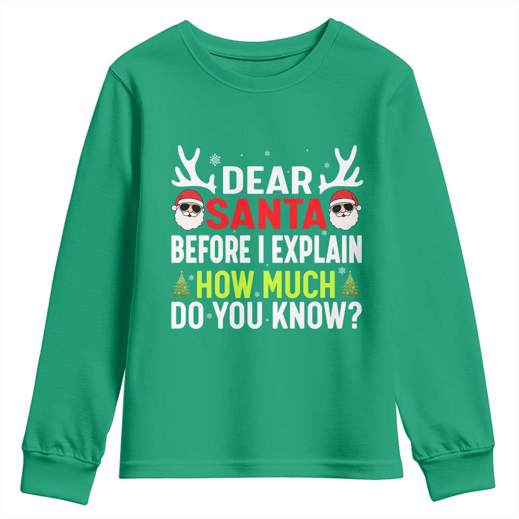 Funny Christmas Youth Sweatshirt Dear Santa I Can Explain How Much Do You Know - Wonder Print Shop