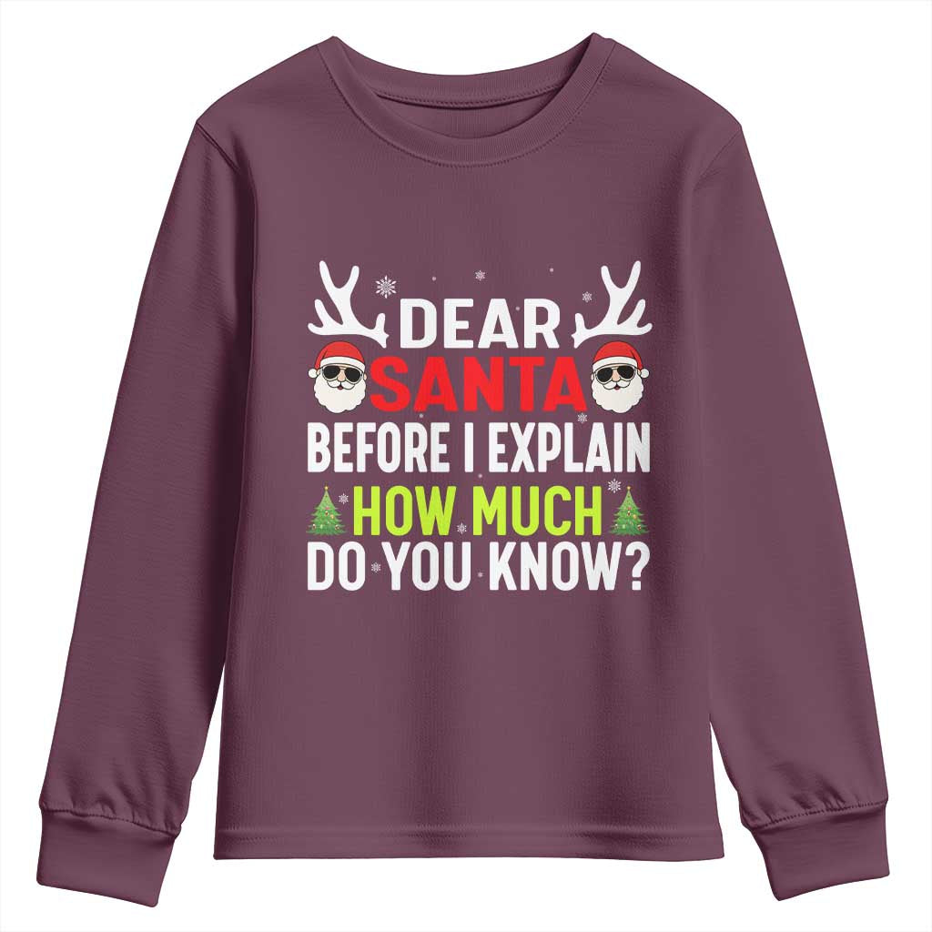 Funny Christmas Youth Sweatshirt Dear Santa I Can Explain How Much Do You Know - Wonder Print Shop