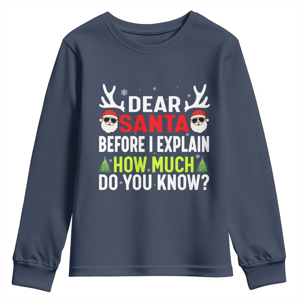 Funny Christmas Youth Sweatshirt Dear Santa I Can Explain How Much Do You Know - Wonder Print Shop