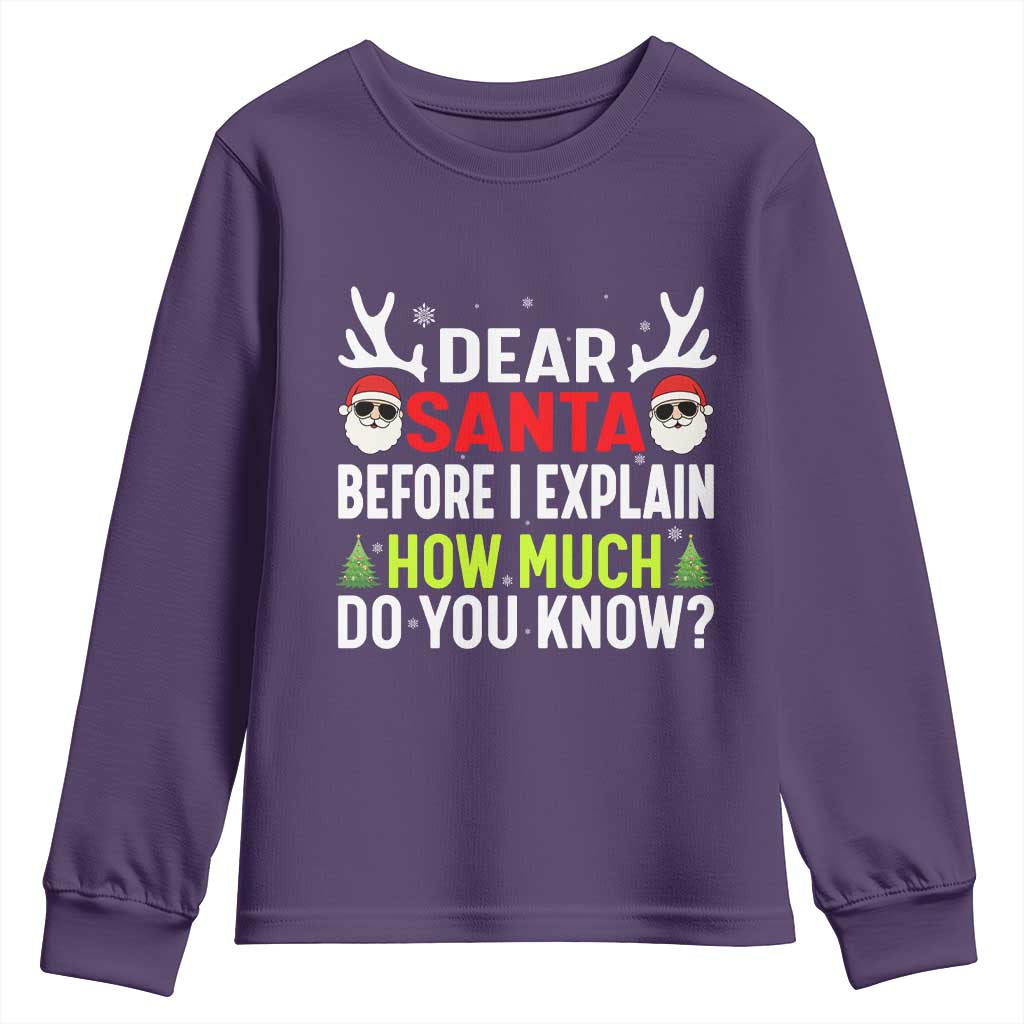Funny Christmas Youth Sweatshirt Dear Santa I Can Explain How Much Do You Know - Wonder Print Shop