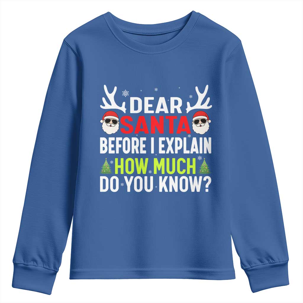 Funny Christmas Youth Sweatshirt Dear Santa I Can Explain How Much Do You Know - Wonder Print Shop