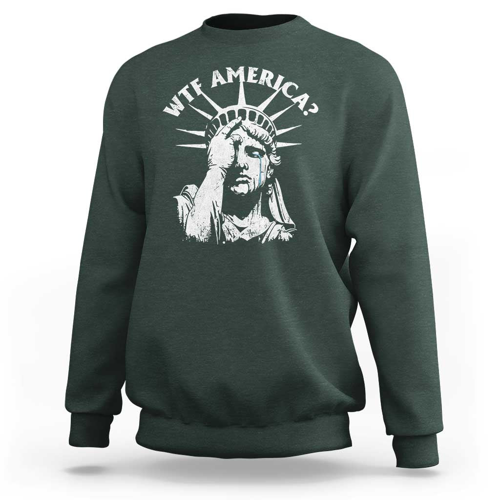 Funny Statue Of Liberty WTF America Sweatshirt
