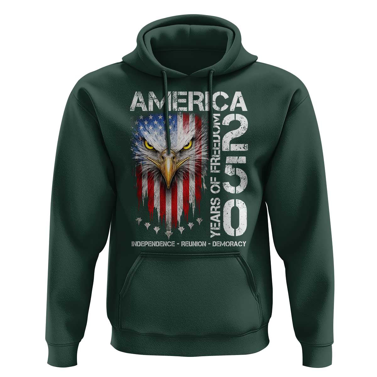 America 250 Years Of Freedom Hoodie USA Anniversary Bald Eagle Patriotic Jets