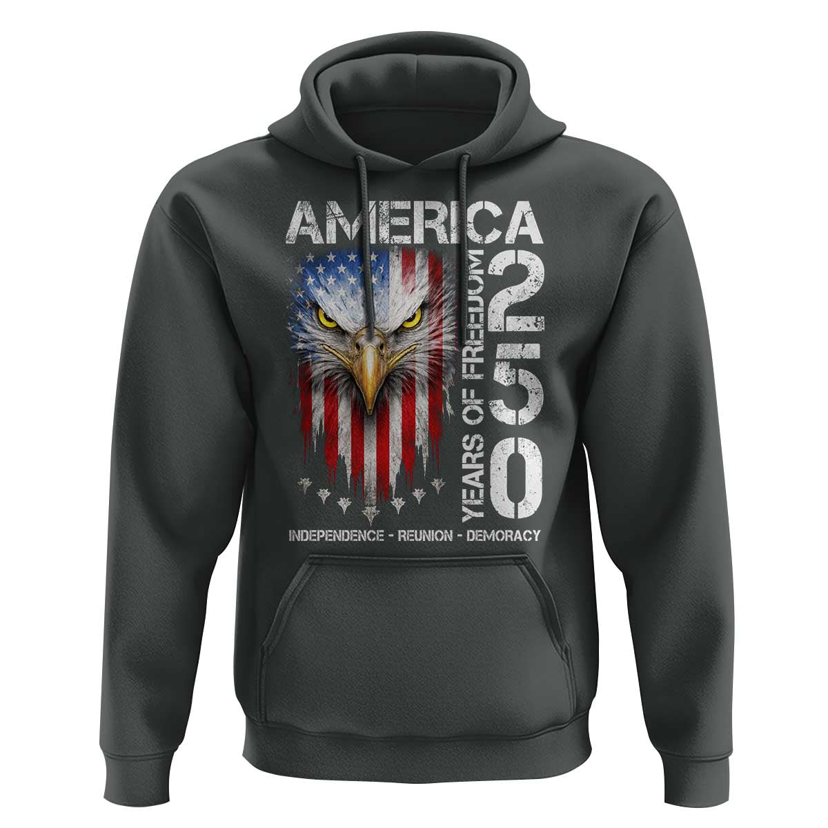 America 250 Years Of Freedom Hoodie USA Anniversary Bald Eagle Patriotic Jets
