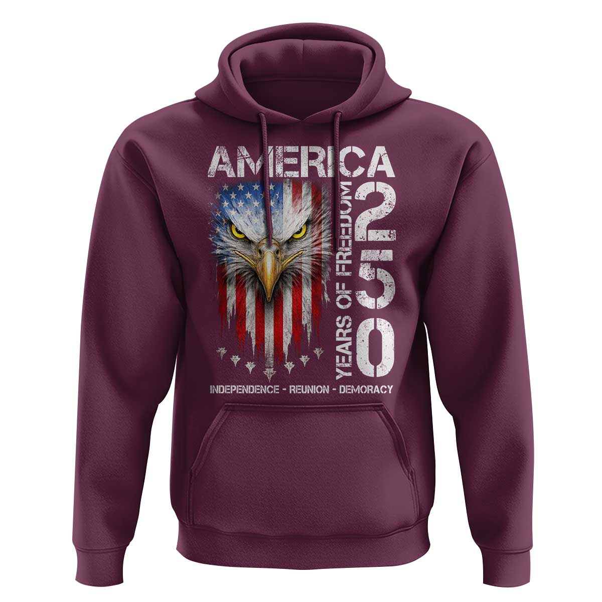 America 250 Years Of Freedom Hoodie USA Anniversary Bald Eagle Patriotic Jets