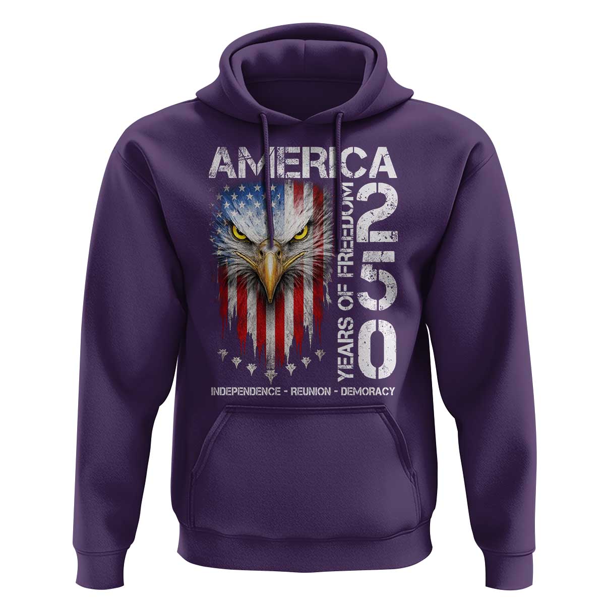 America 250 Years Of Freedom Hoodie USA Anniversary Bald Eagle Patriotic Jets