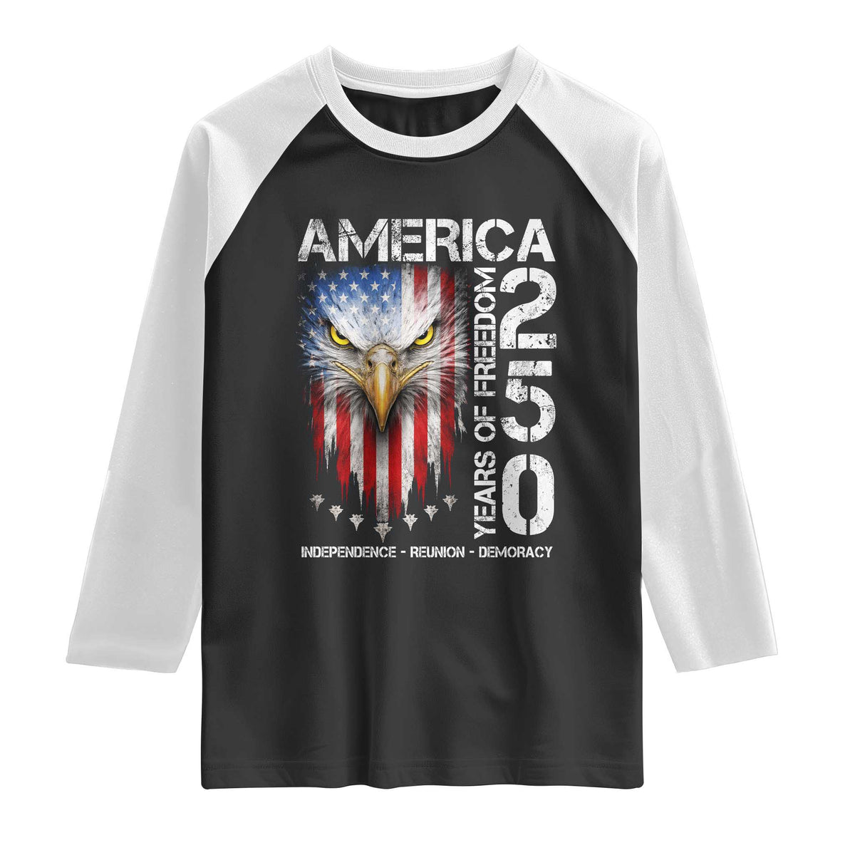 America 250 Years Of Freedom Raglan Shirt USA Anniversary Bald Eagle Patriotic Jets