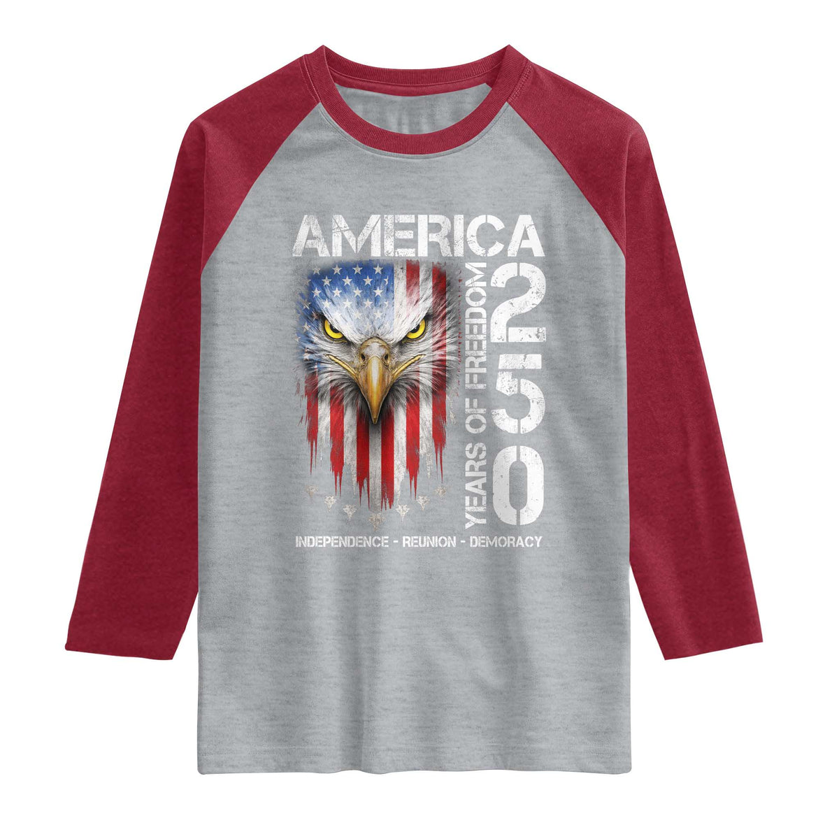 America 250 Years Of Freedom Raglan Shirt USA Anniversary Bald Eagle Patriotic Jets