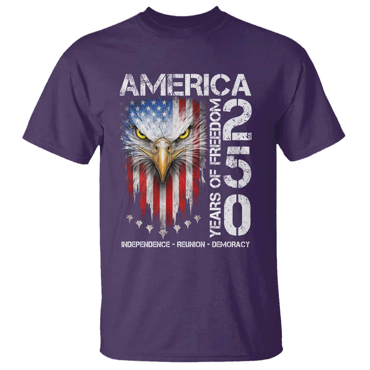 America 250 Years Of Freedom T Shirt USA Anniversary Bald Eagle Patriotic Jets