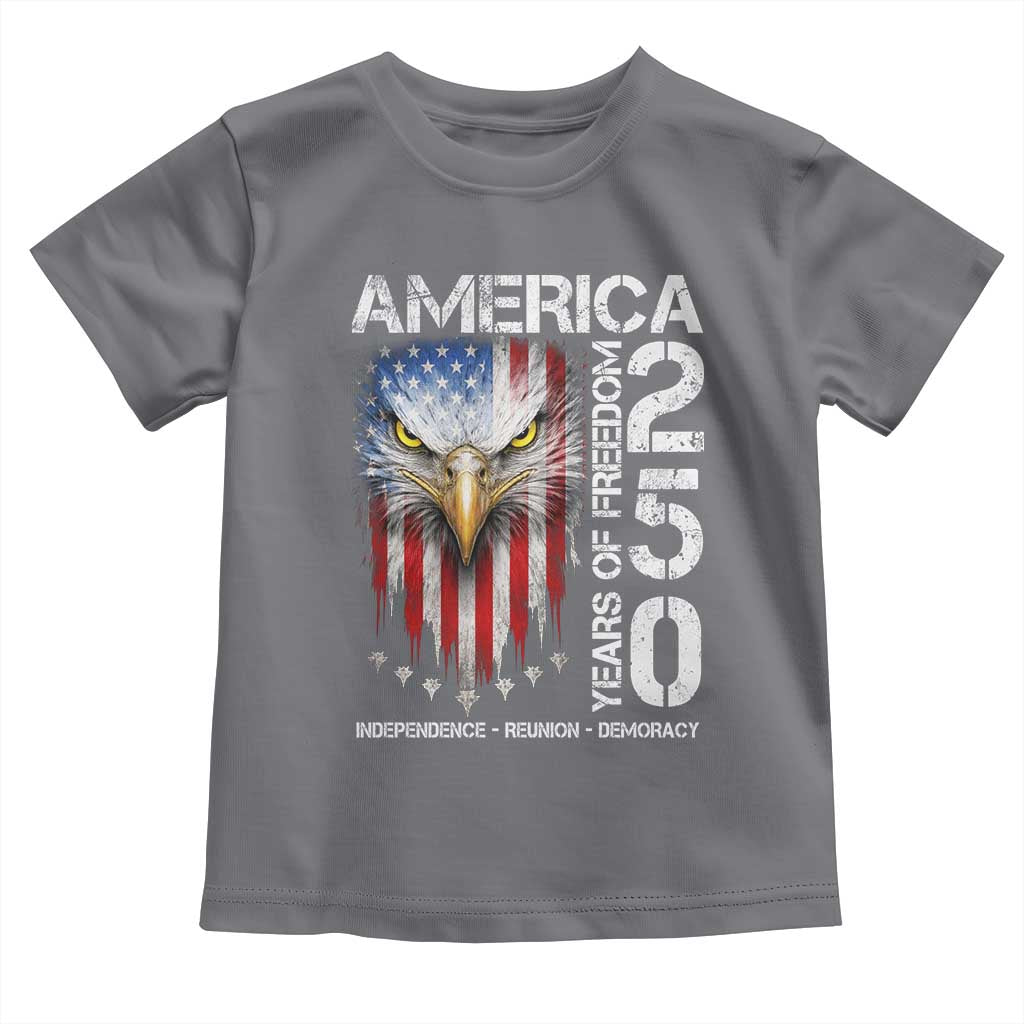 America 250 Years Of Freedom Toddler T Shirt USA Anniversary Bald Eagle Patriotic Jets