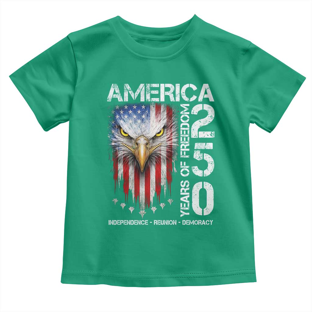 America 250 Years Of Freedom Toddler T Shirt USA Anniversary Bald Eagle Patriotic Jets
