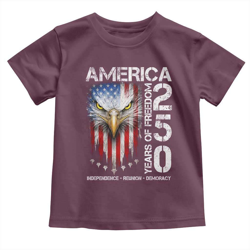 America 250 Years Of Freedom Toddler T Shirt USA Anniversary Bald Eagle Patriotic Jets