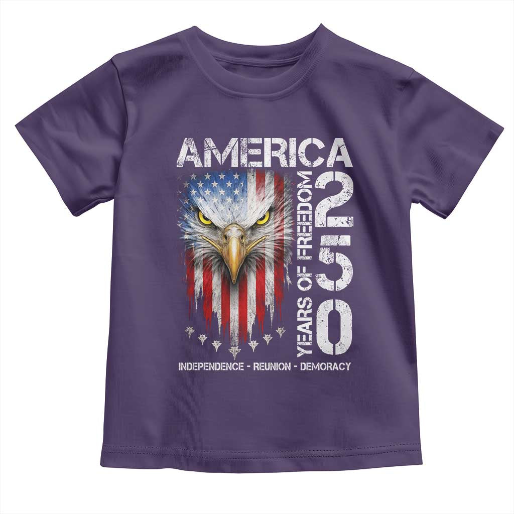 America 250 Years Of Freedom Toddler T Shirt USA Anniversary Bald Eagle Patriotic Jets