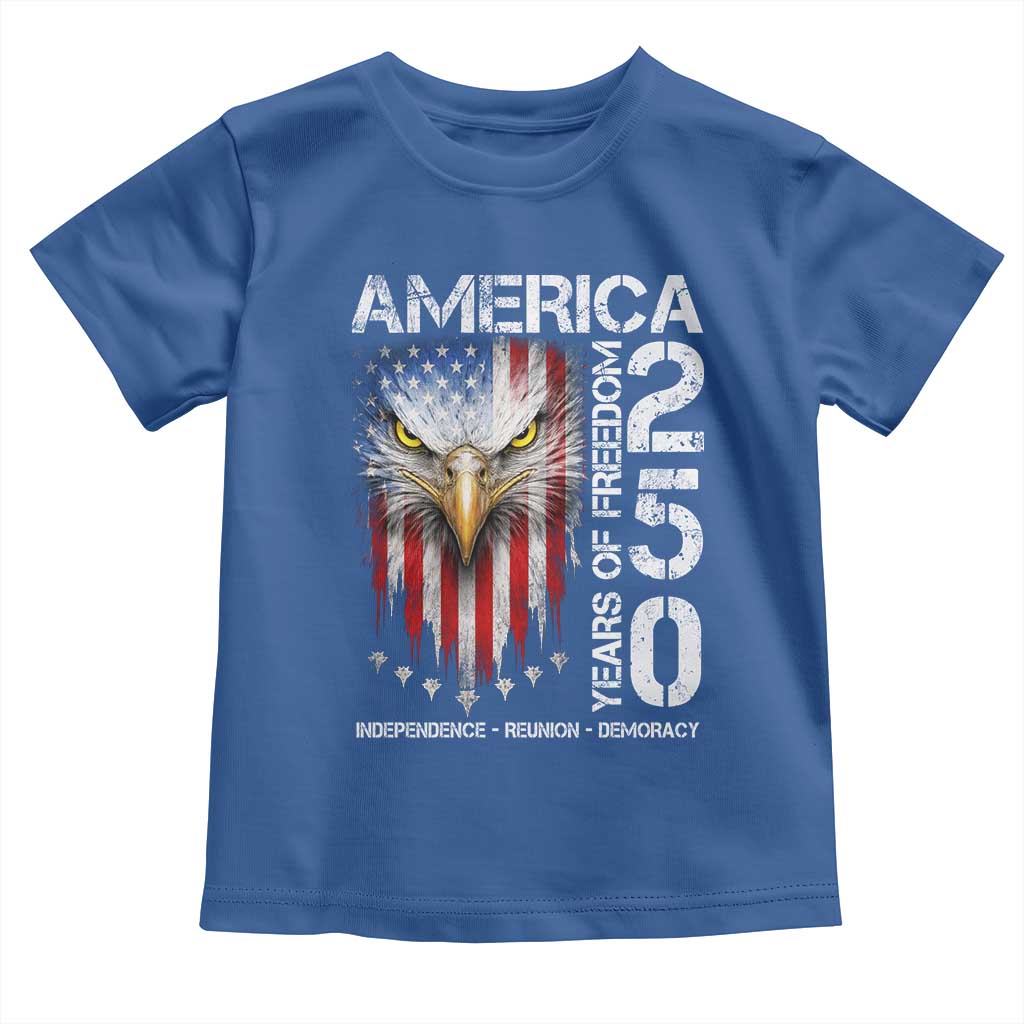 America 250 Years Of Freedom Toddler T Shirt USA Anniversary Bald Eagle Patriotic Jets