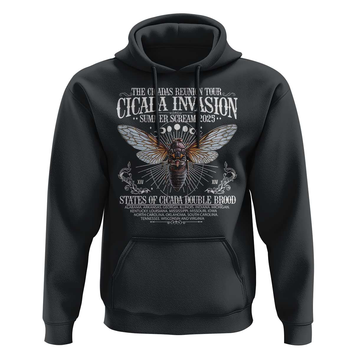 The Cicadas Reunion Tour 2025 Hoodie Cicada Invasion Brood XIV Vintage Concert Fest