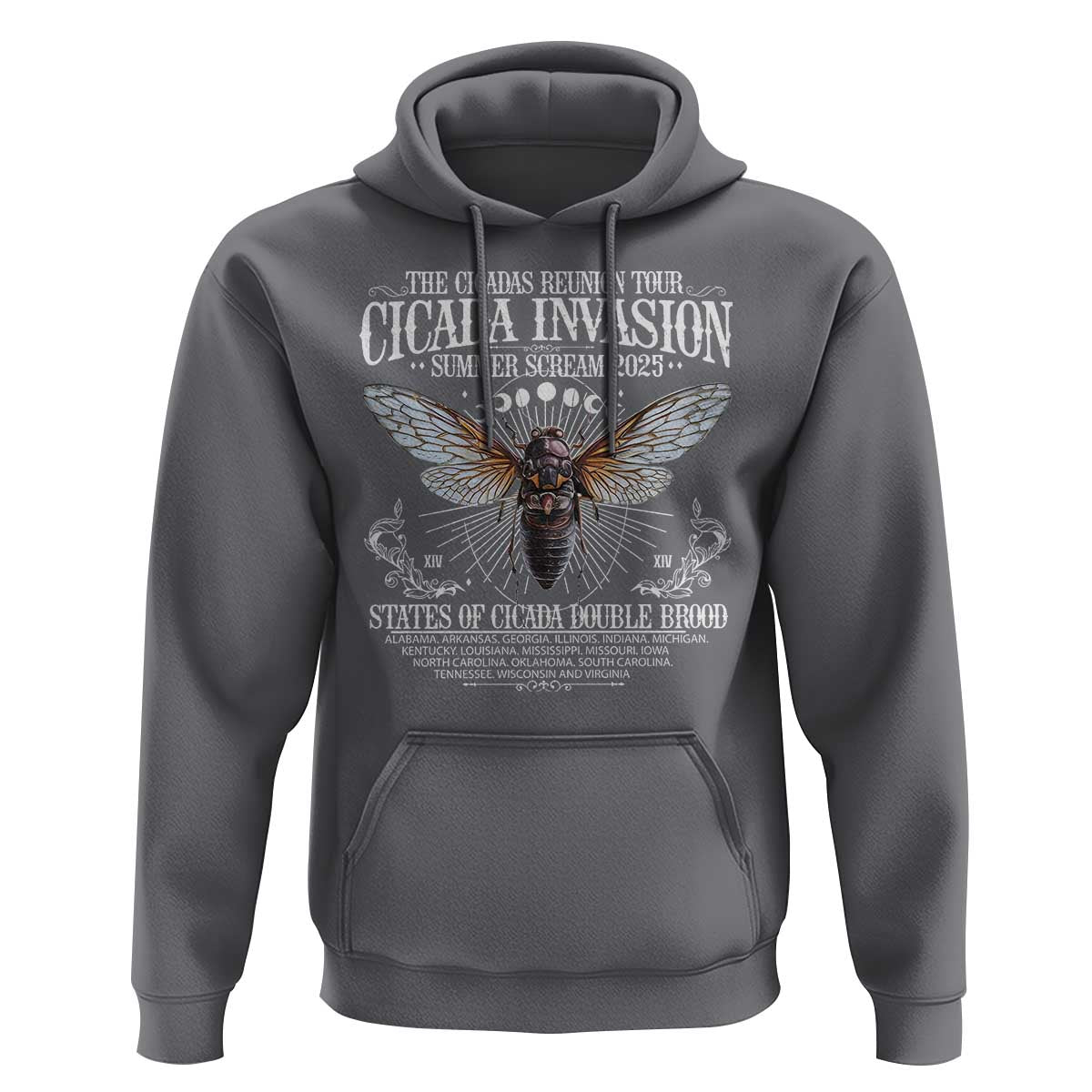 The Cicadas Reunion Tour 2025 Hoodie Cicada Invasion Brood XIV Vintage Concert Fest