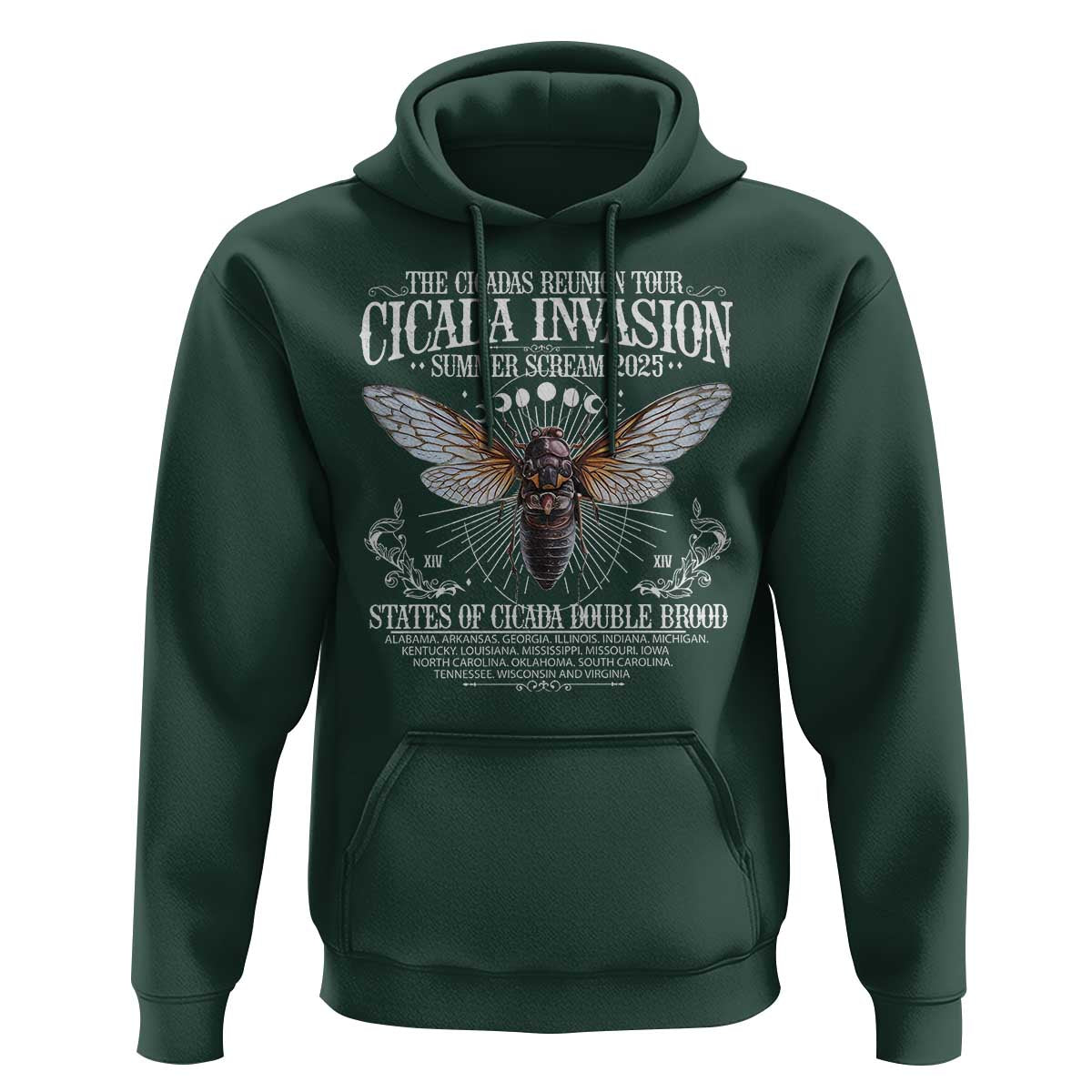 The Cicadas Reunion Tour 2025 Hoodie Cicada Invasion Brood XIV Vintage Concert Fest