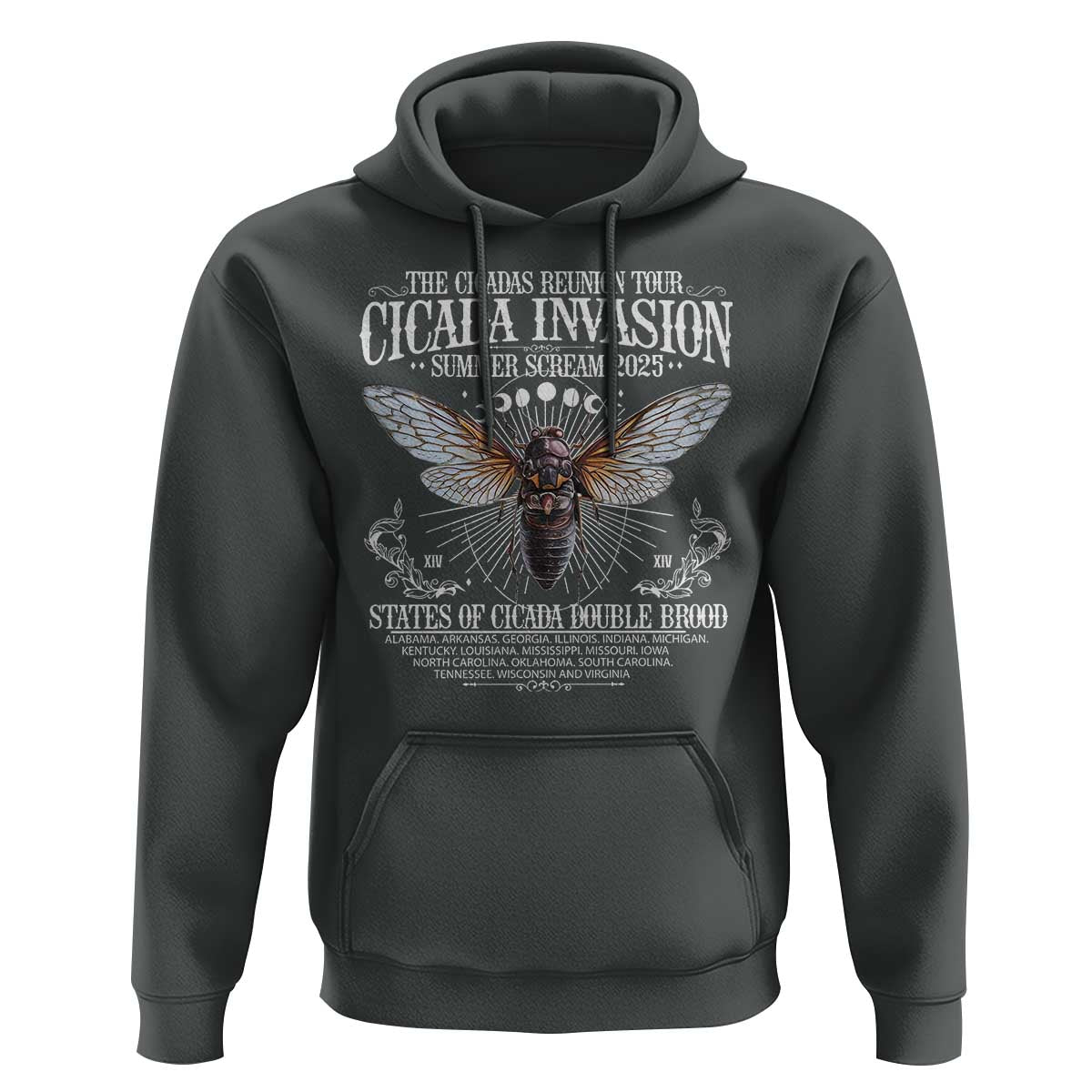 The Cicadas Reunion Tour 2025 Hoodie Cicada Invasion Brood XIV Vintage Concert Fest