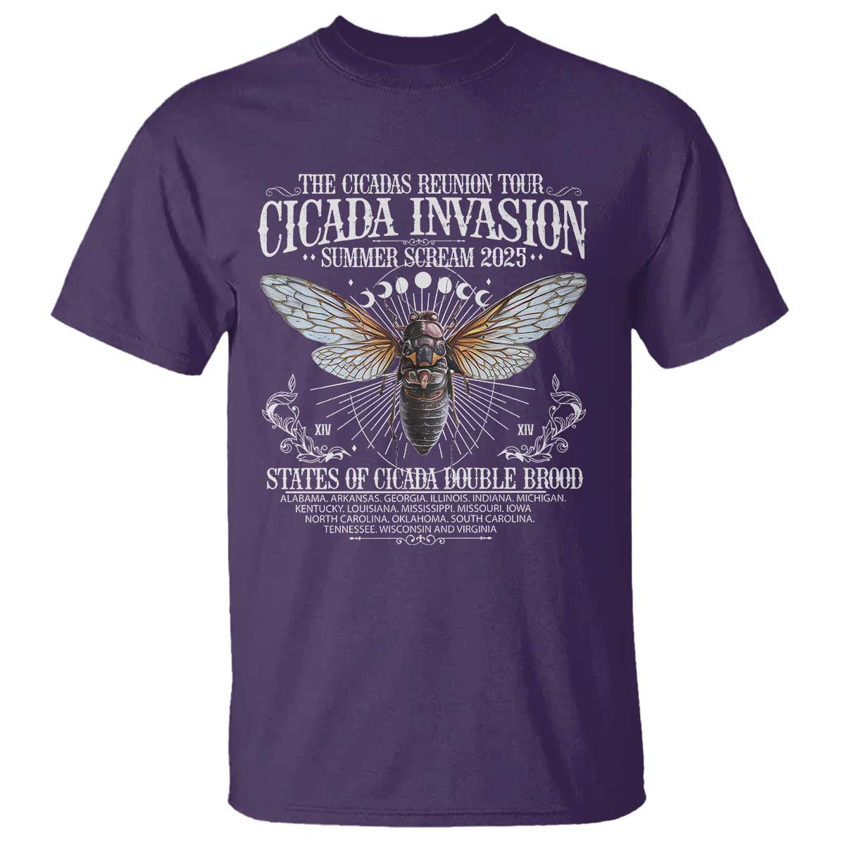 The Cicadas Reunion Tour 2025 T Shirt Cicada Invasion Brood XIV Vintage Concert Fest