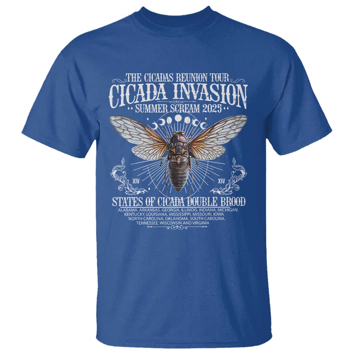 The Cicadas Reunion Tour 2025 T Shirt Cicada Invasion Brood XIV Vintage Concert Fest
