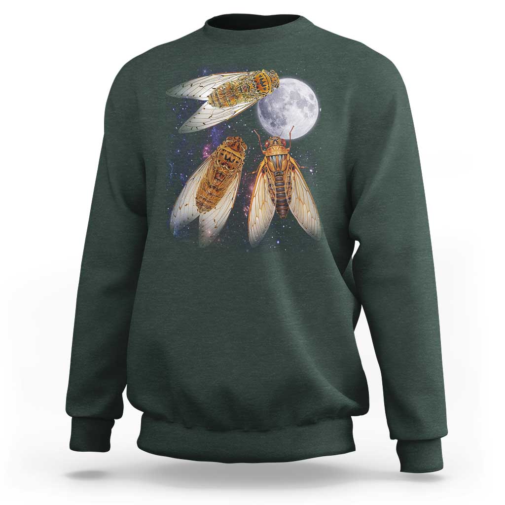 Funny 3 Cicadas Concert Fest Moon Cicada Reunion Sweatshirt
