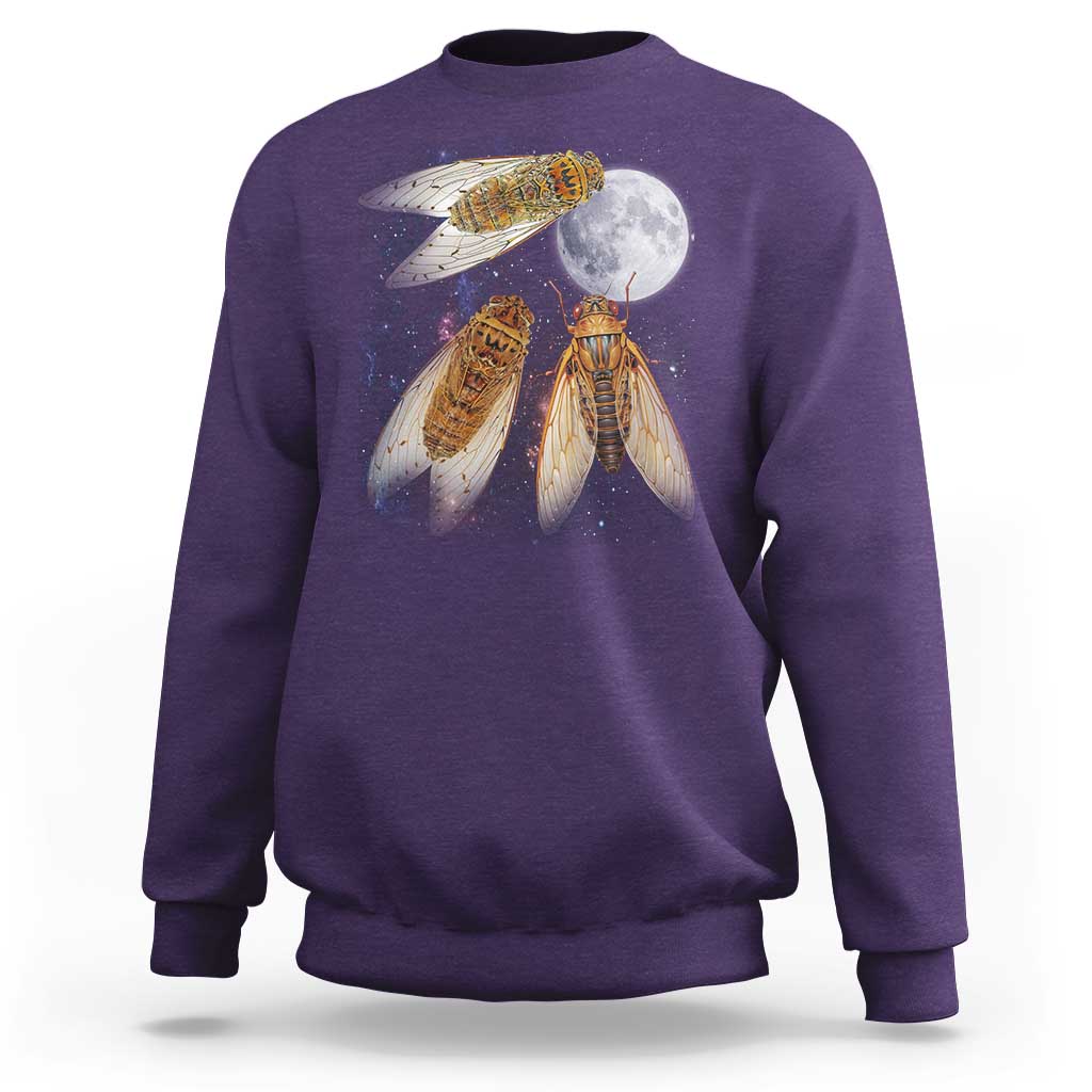 Funny 3 Cicadas Concert Fest Moon Cicada Reunion Sweatshirt
