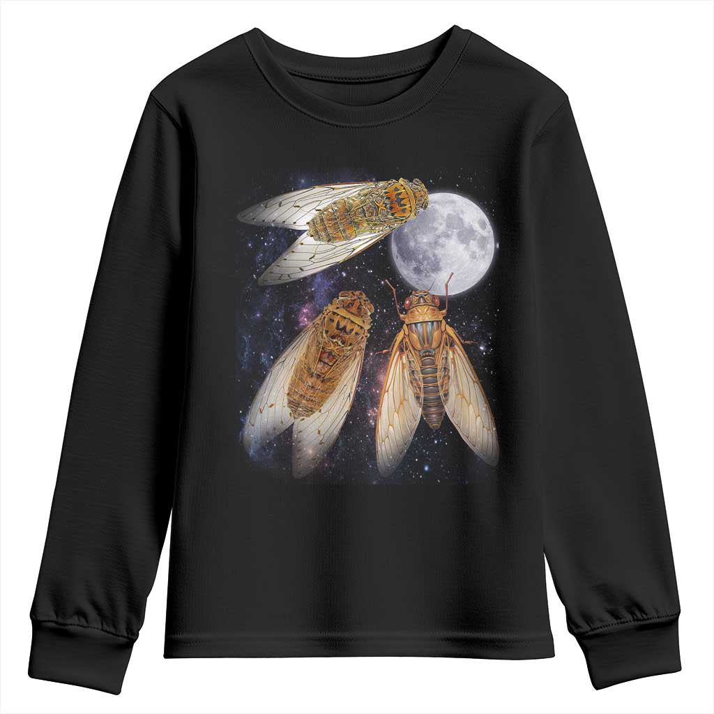 Funny 3 Cicadas Concert Fest Moon Cicada Reunion Youth Sweatshirt