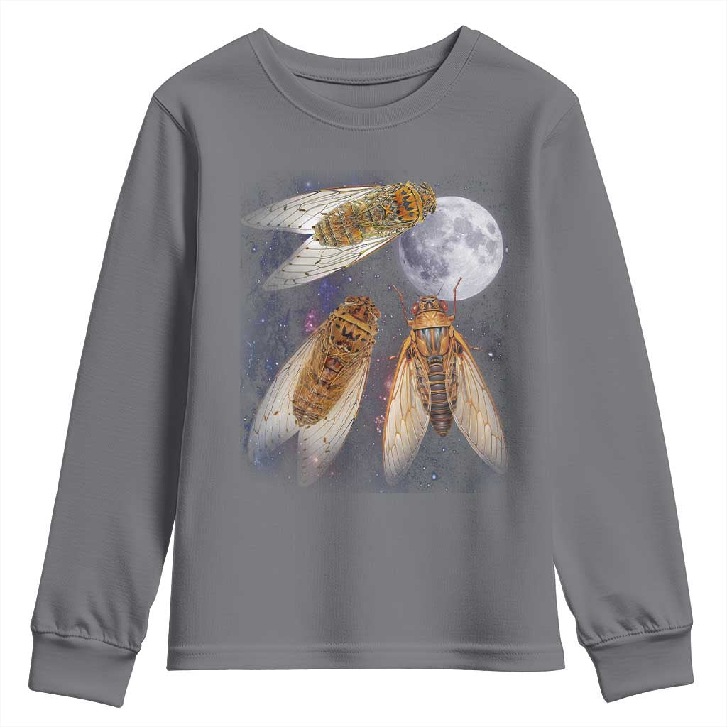 Funny 3 Cicadas Concert Fest Moon Cicada Reunion Youth Sweatshirt