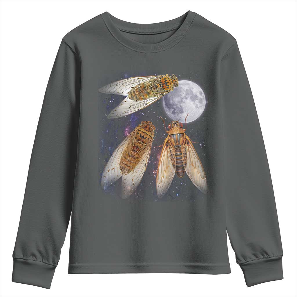 Funny 3 Cicadas Concert Fest Moon Cicada Reunion Youth Sweatshirt