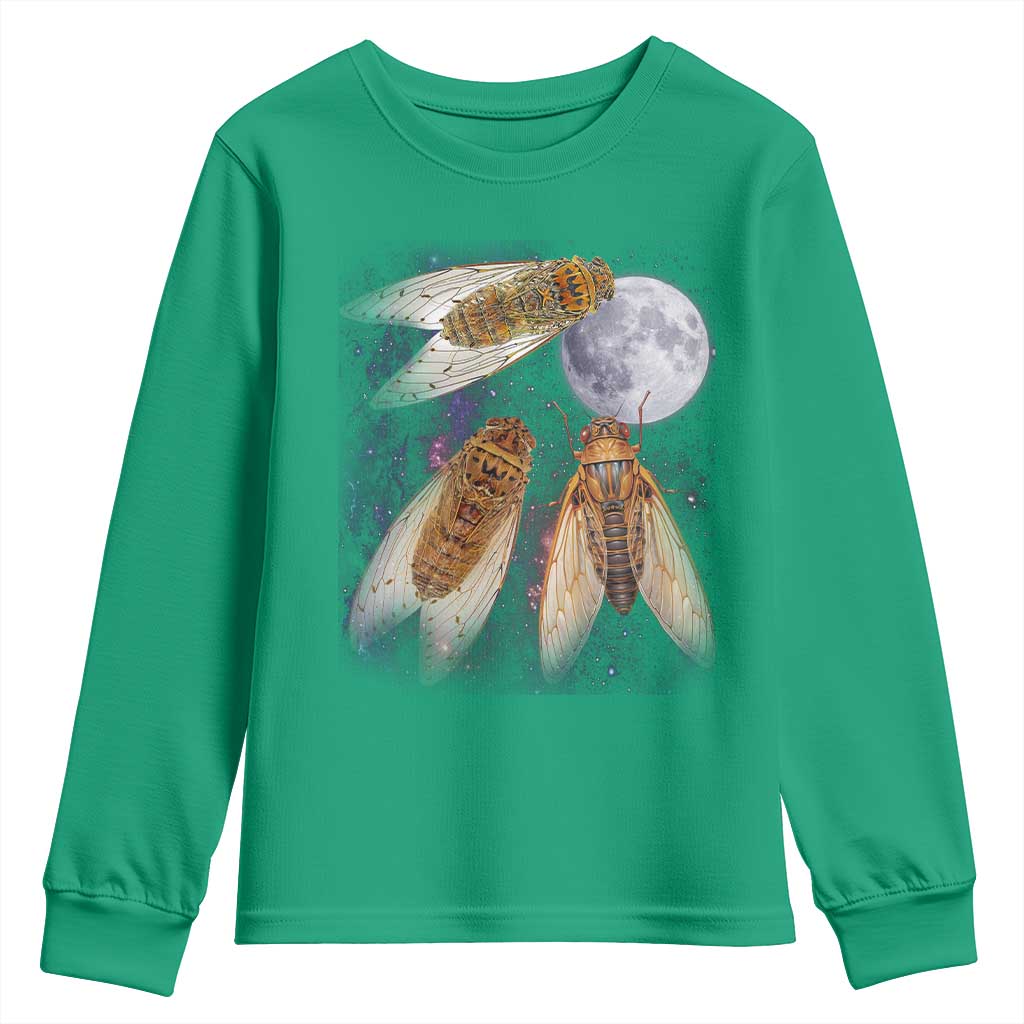 Funny 3 Cicadas Concert Fest Moon Cicada Reunion Youth Sweatshirt