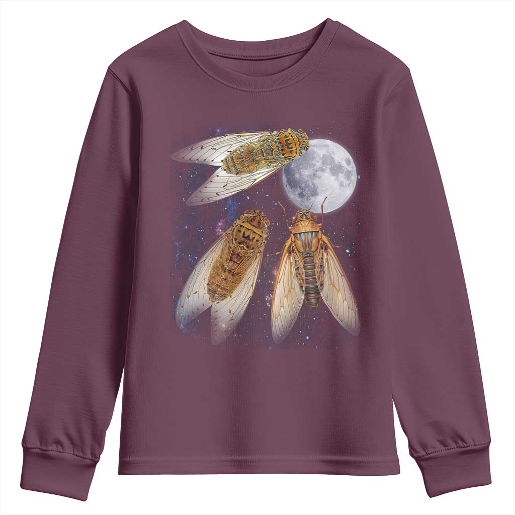 Funny 3 Cicadas Concert Fest Moon Cicada Reunion Youth Sweatshirt