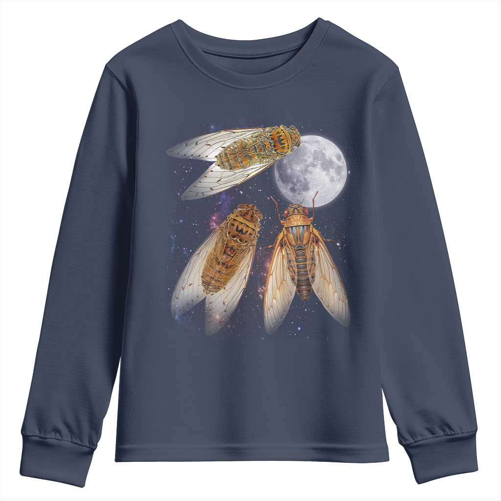 Funny 3 Cicadas Concert Fest Moon Cicada Reunion Youth Sweatshirt