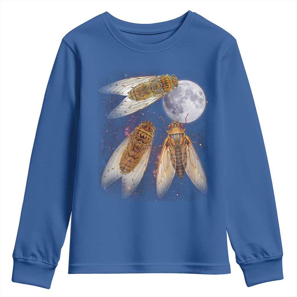 Funny 3 Cicadas Concert Fest Moon Cicada Reunion Youth Sweatshirt