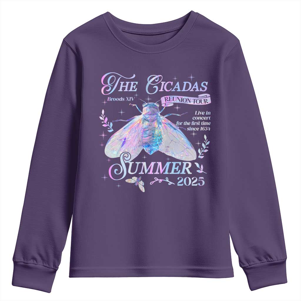 The Cicadas Brood XIV Reunion Tour Summer 2025 Youth Sweatshirt Live In Concert For The First Time Since 1634