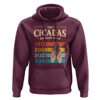 Funny Cicada Brood XIV 2025 Hoodie Periodical Cicada Tour 1907 2008 2042