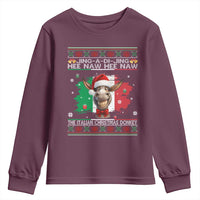 Funny Italian Christmas Donkey Youth Sweatshirt Funny Domick The Donkey Holiday Italy Flag - Wonder Print Shop