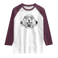 Funny Groundhog Face Woodchuck Sunglassess Raglan Shirt - Wonder Print Shop
